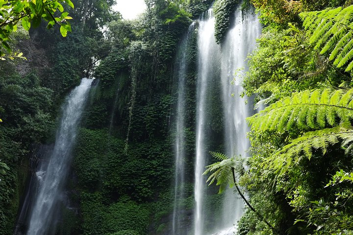 Sekumpul And Banyumala Waterfalls Hiking Tour Private All Inclusive