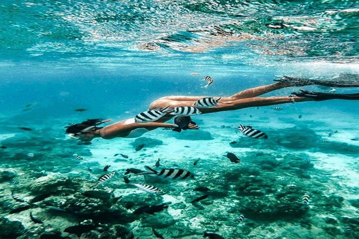 Bali Snorkeling Trip At Blue Lagoon Tanjung Jepun Harga Promo Terbaru