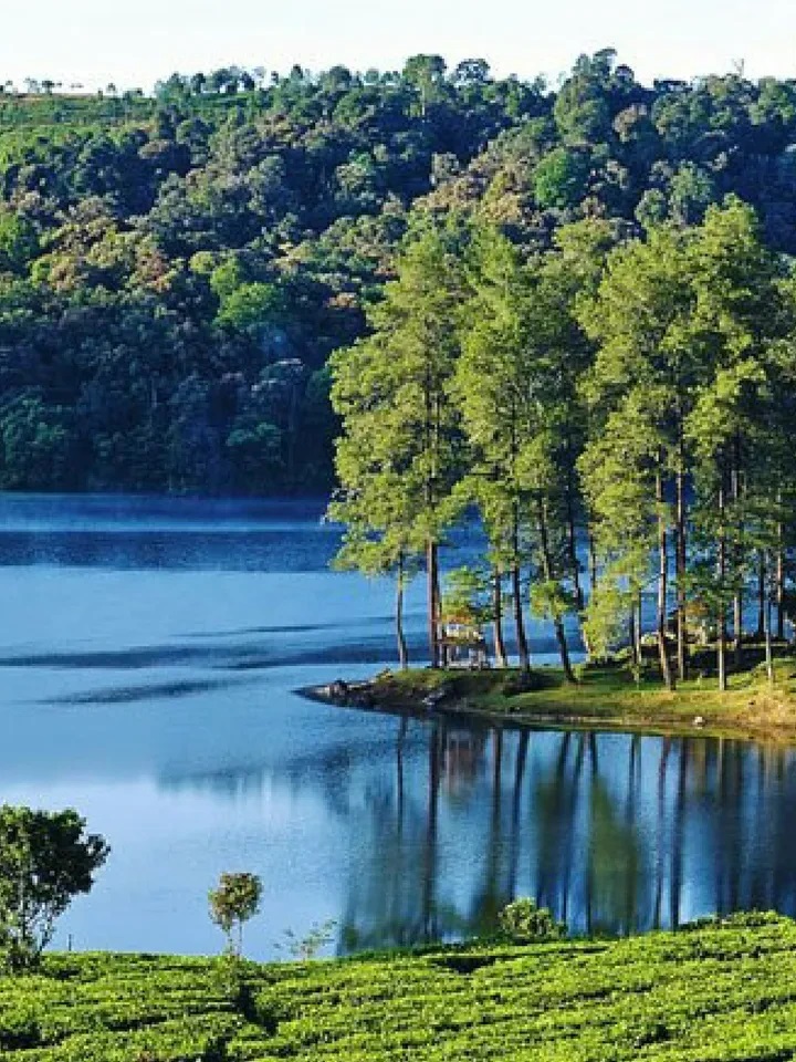 15 Tempat Wisata Ciwidey Lagi Hits, Pas untuk Keluarga!