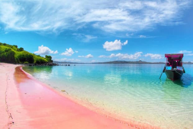 Tour Pantai Pink By Kusuma Lombok Tour