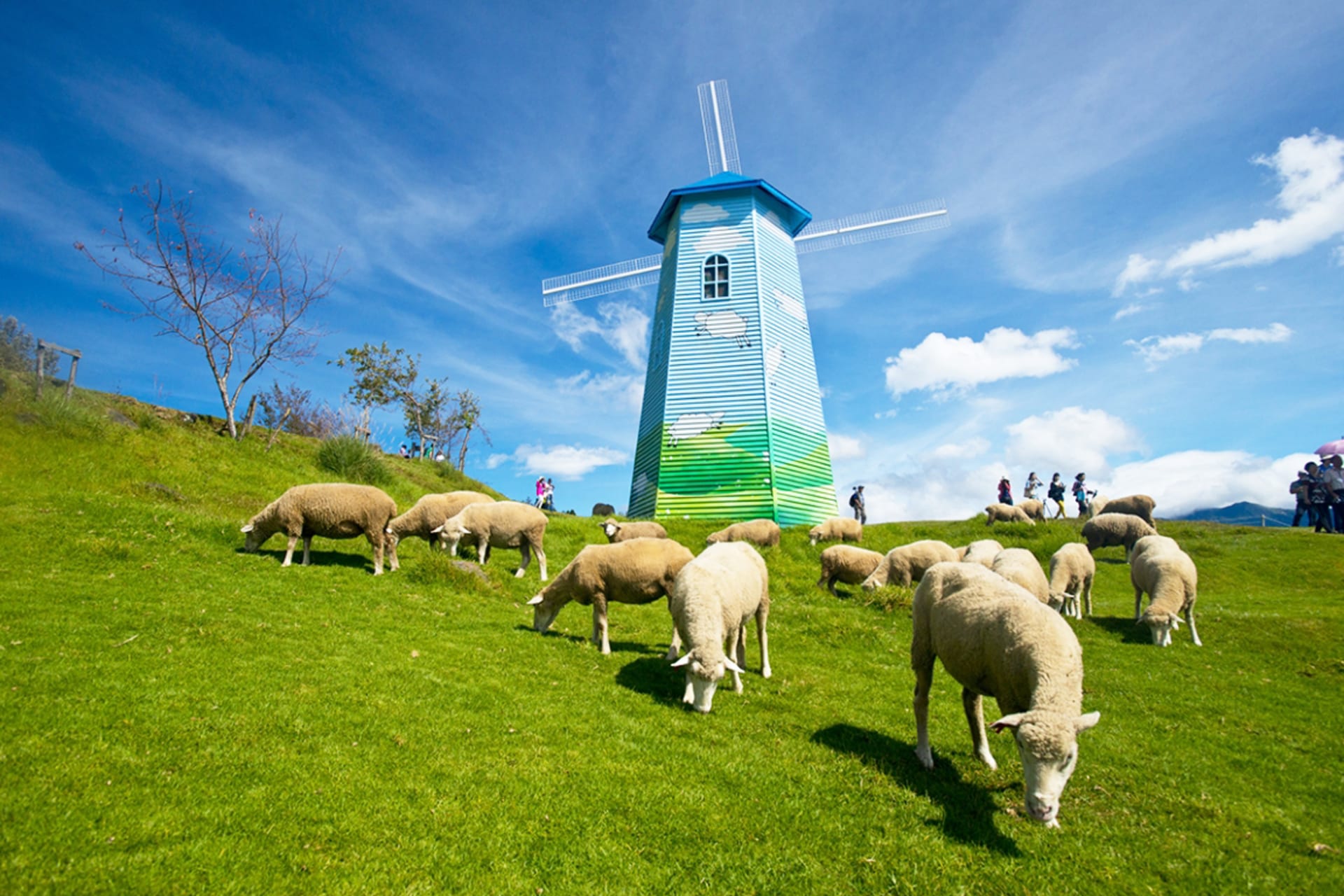 Qingjing Farm Green Green Grassland 98wkZgbl
