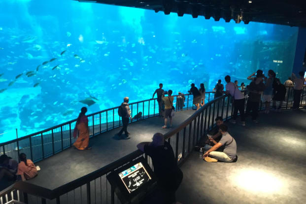 KOMBO: Madame Tussauds™ Singapore + S.E.A. Aquarium™