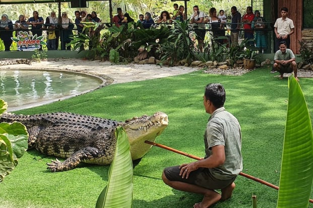 Crocodile Adventureland Langkawi Admission Ticket