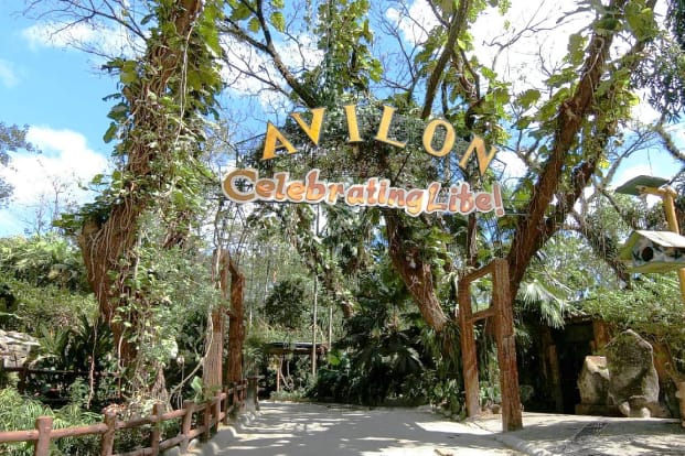 Avilon Zoo Ticket in Rizal