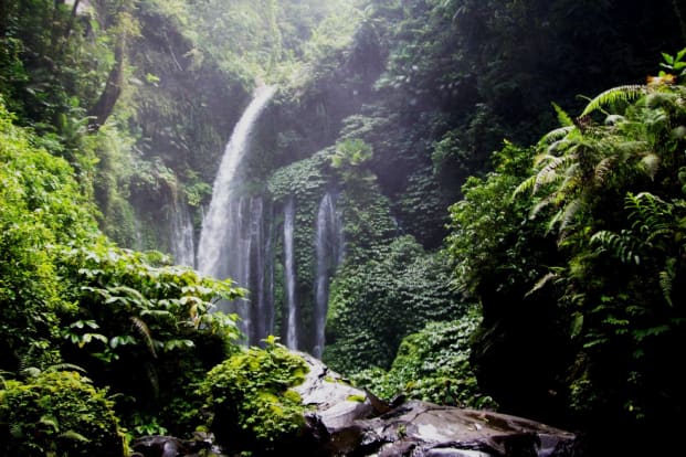 Tour Waterfall & Monkey Forest By Kusuma Lombok Tour