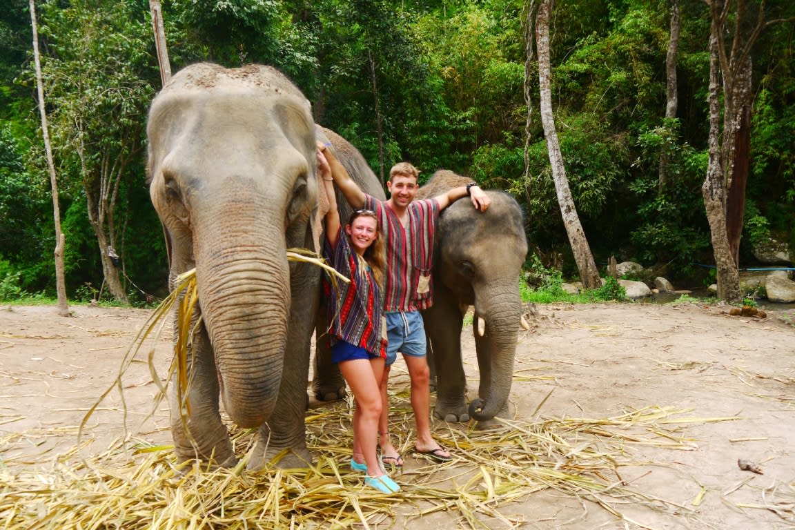 Elephant jungle sanctuary phuket