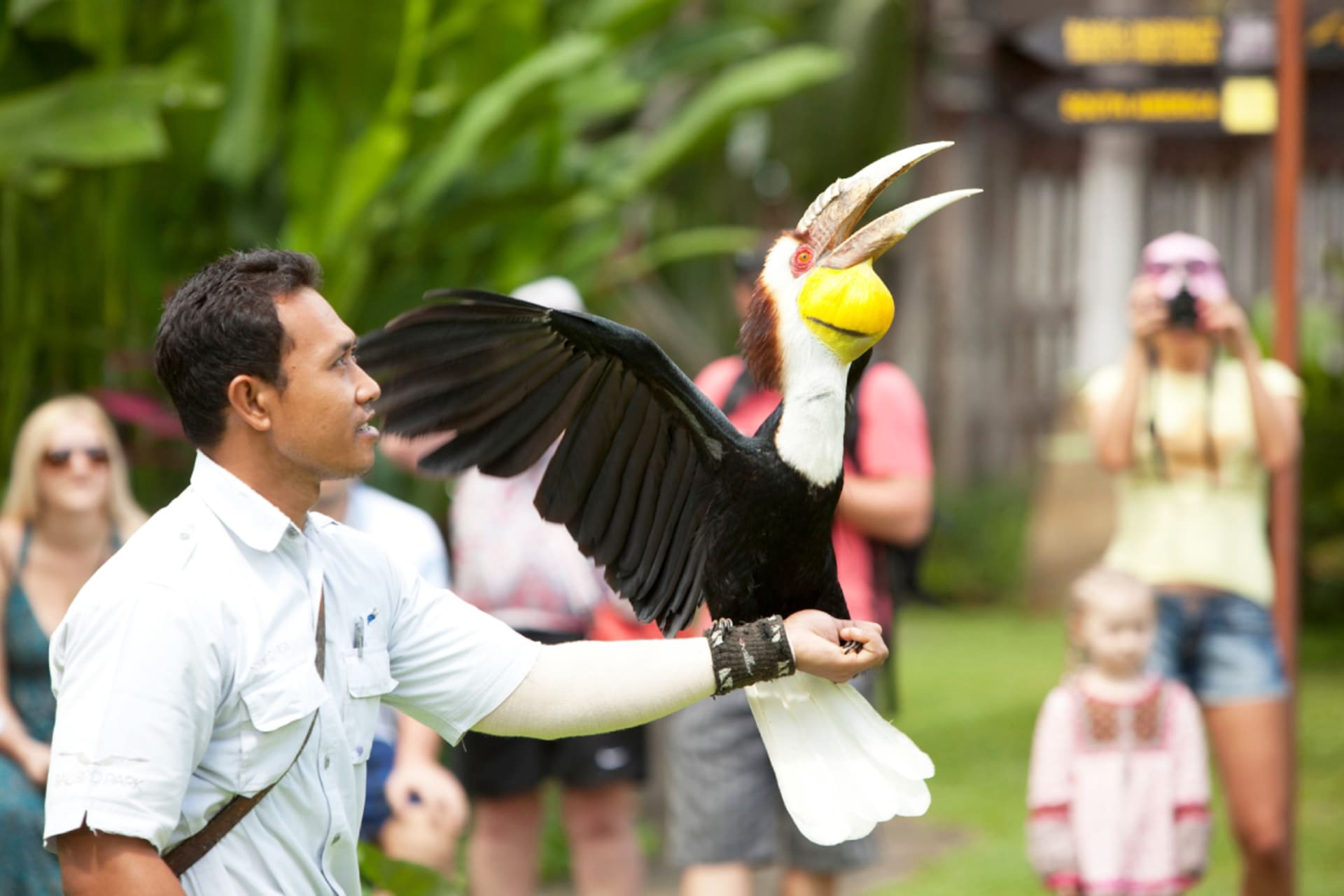 Bali Bird Park (5).jpg