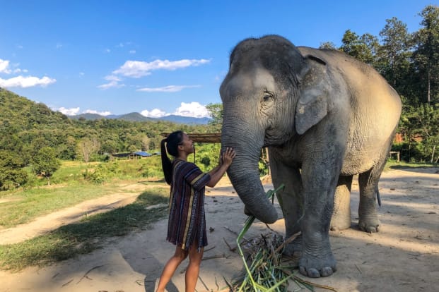 Chiang Mai Elephant Tour