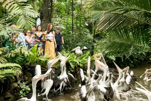 Tiket bali bird park