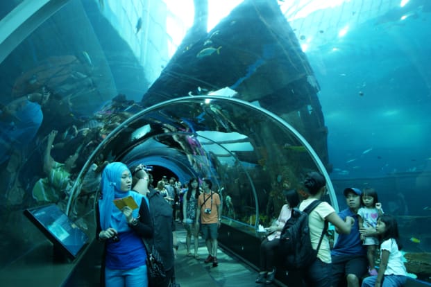 KOMBO: Madame Tussauds™ Singapore + S.E.A. Aquarium™