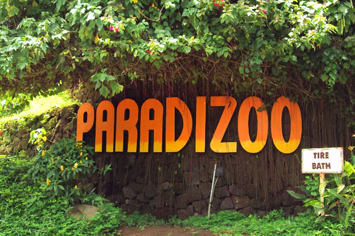 Paradizoo Ticket in Tagaytay S66NwBoe-backdrop