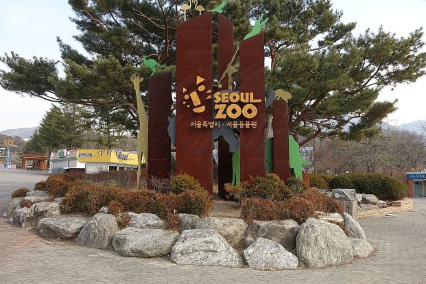 Seoul Zoo (Included Sky Lift) Ticket Seoul