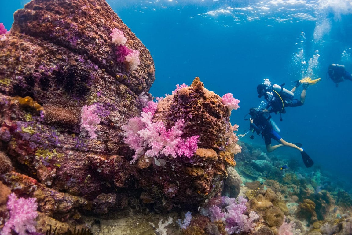 Koh Lipe Full Day Scuba Diving jVyeubD4-backdrop