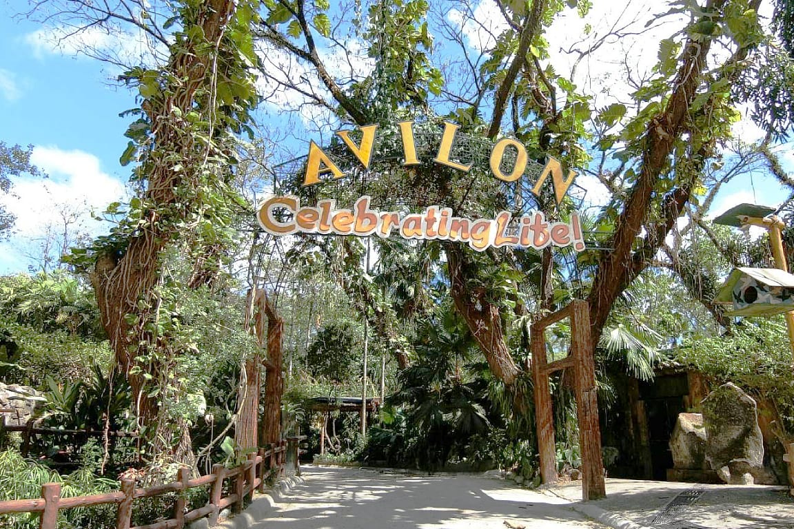Avilon Zoo Ticket in Rizal zjc0OtMX-backdrop