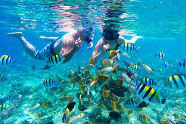 Snorkeling Trip 3 Spot (Gili Trawangan, Meno, Air) Kusuma Lombok
