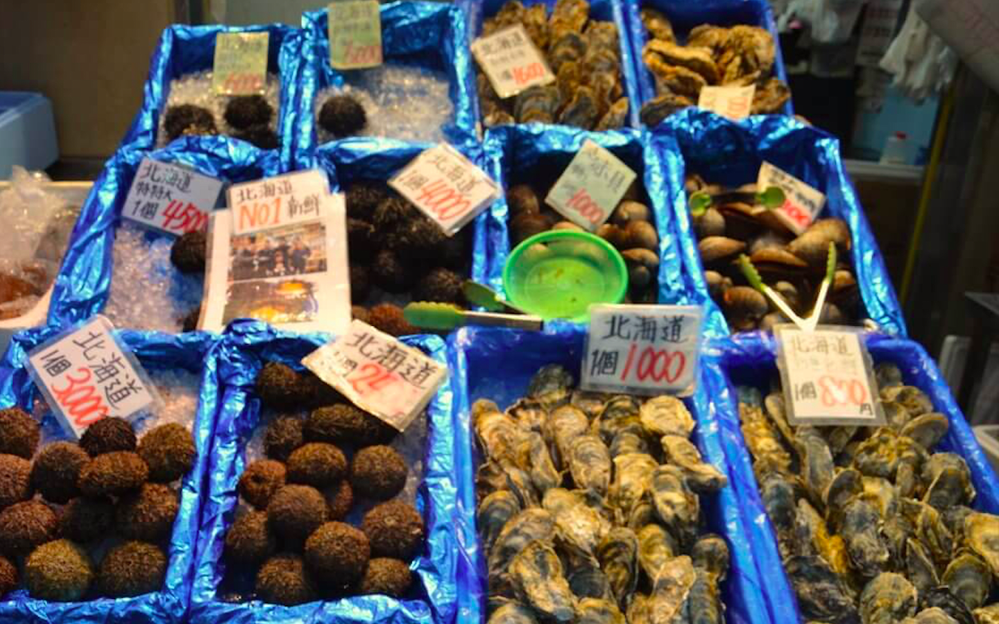 Osaka Market Food Tour xC3ieRcE