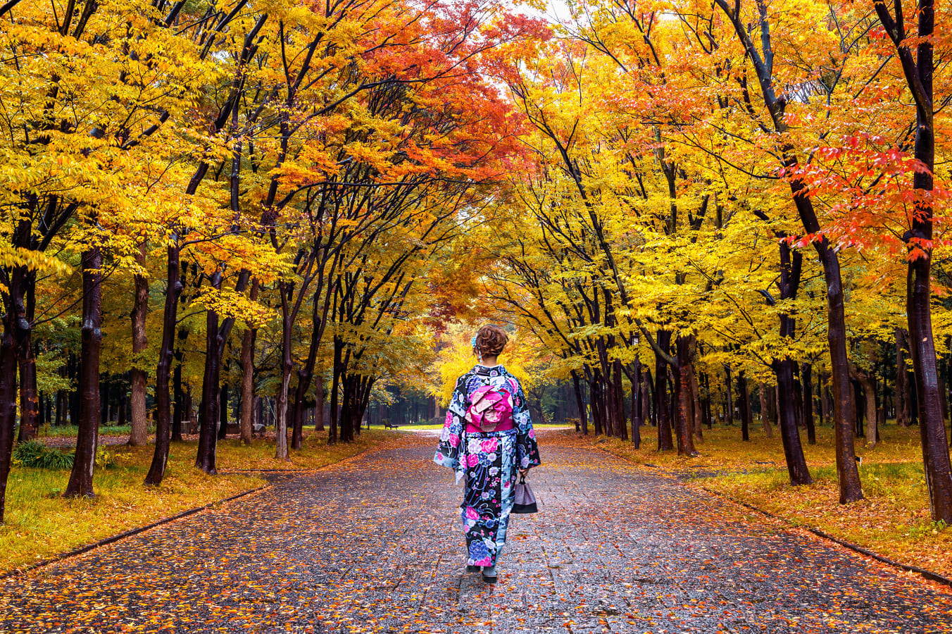 Professional Photo Shoot in Tokyo neVd7SP6