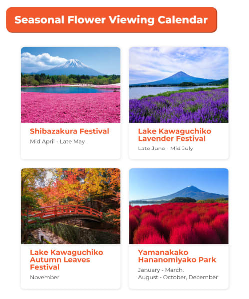 mt. fuji flower festival tour with ropeway experience from tokyo