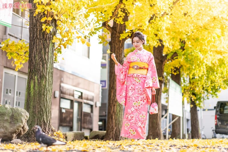 Kimono Rental Experience by Aiwafuku in Tokyo