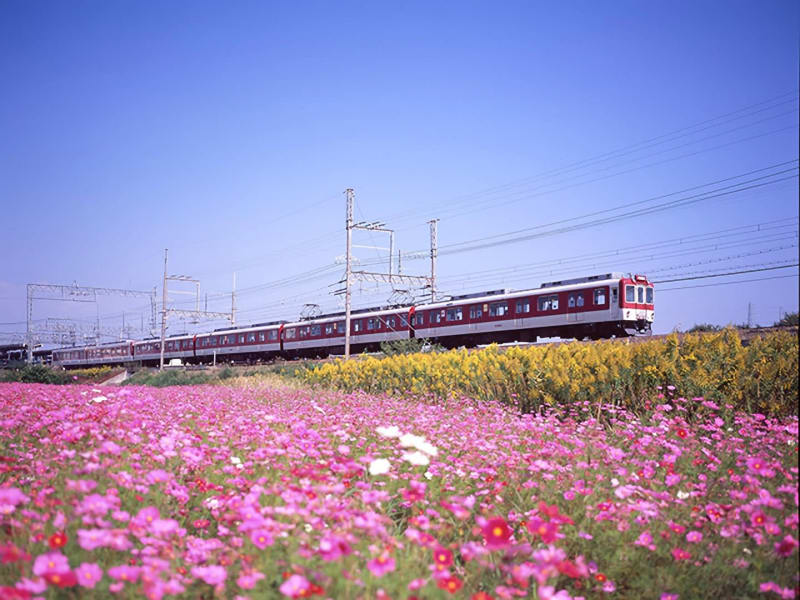 Kintetsu Rail Pass (1 Day/2 Days/5 Days/Plus)