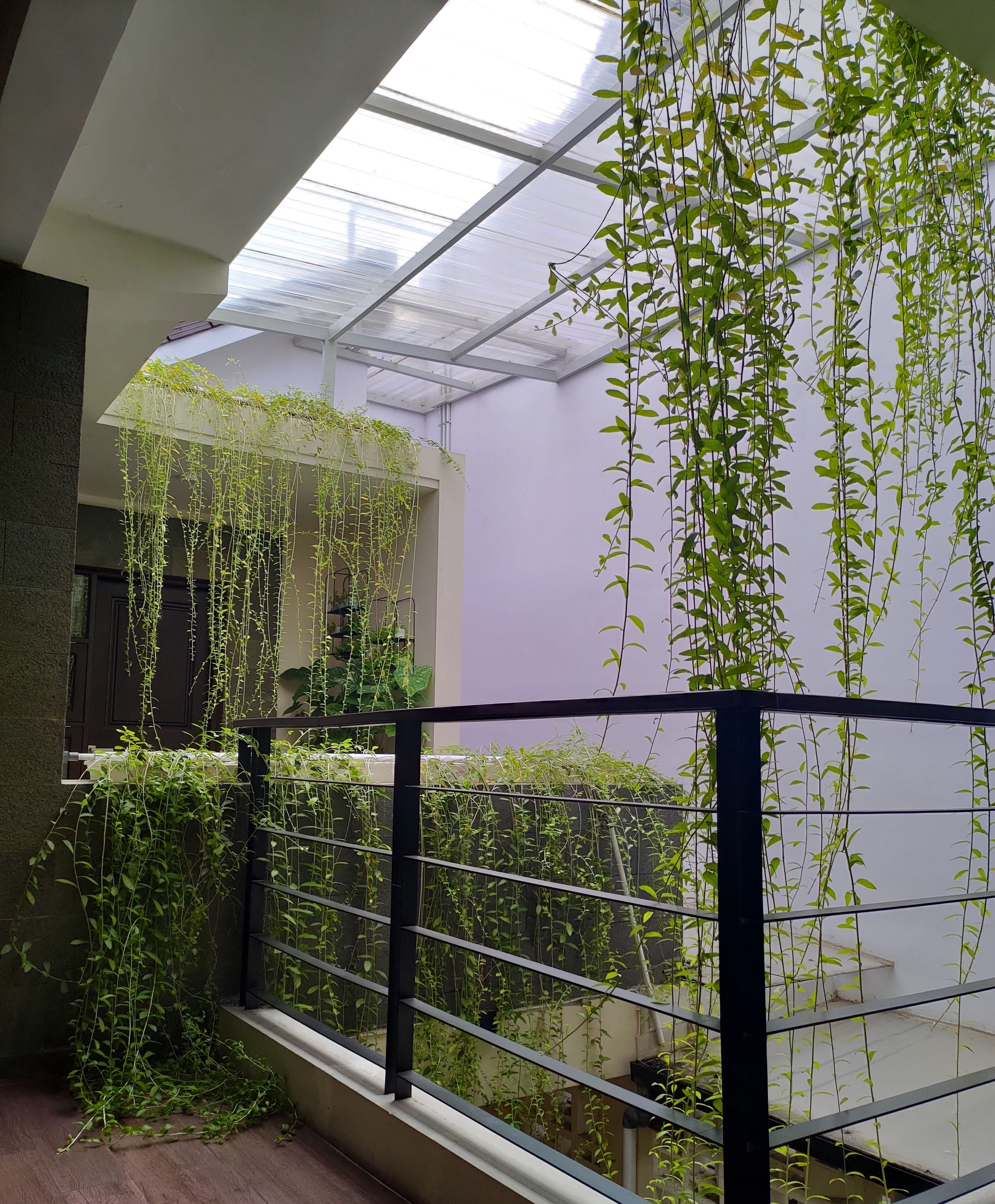 userImage-8