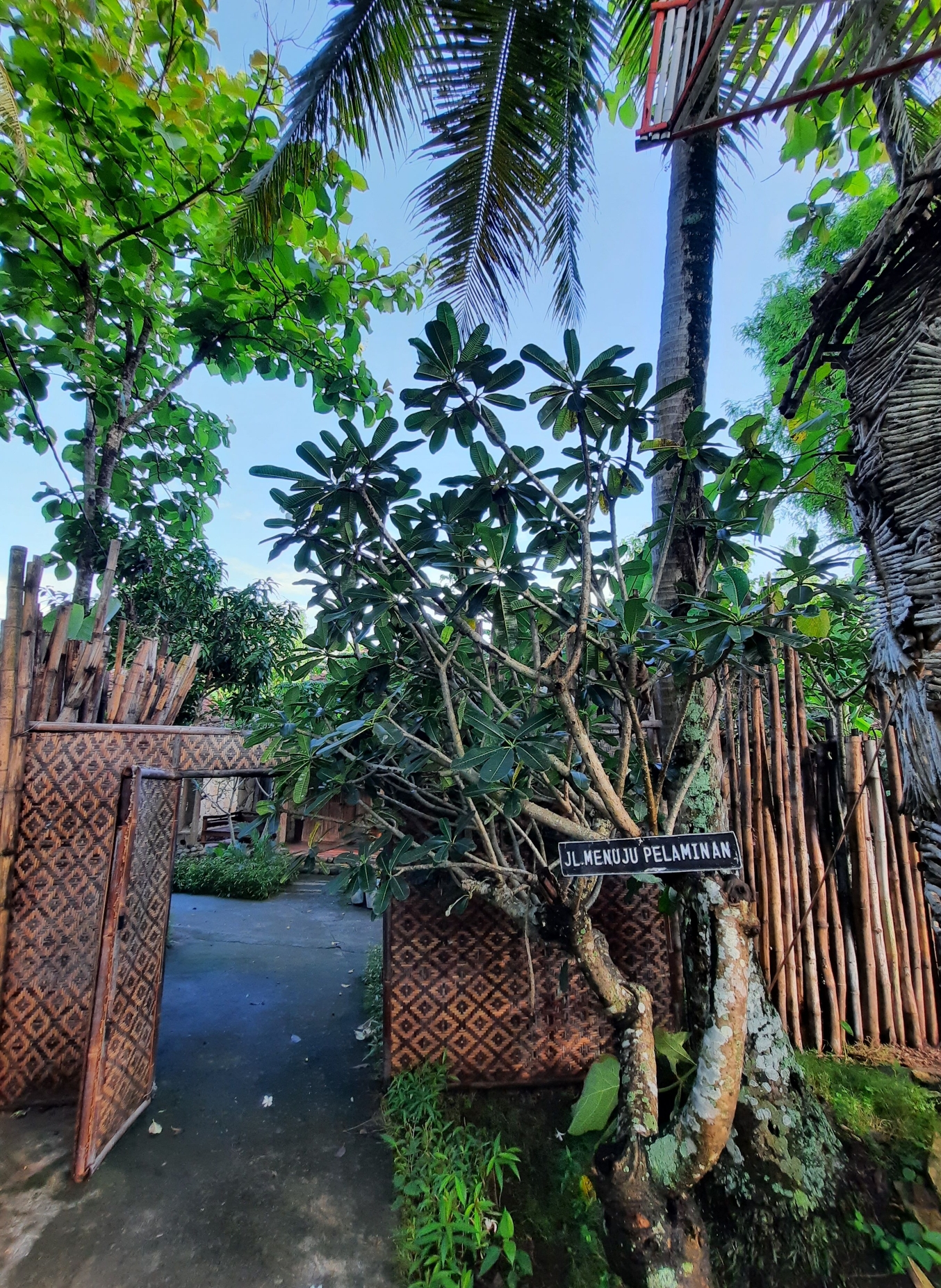 userImage-3