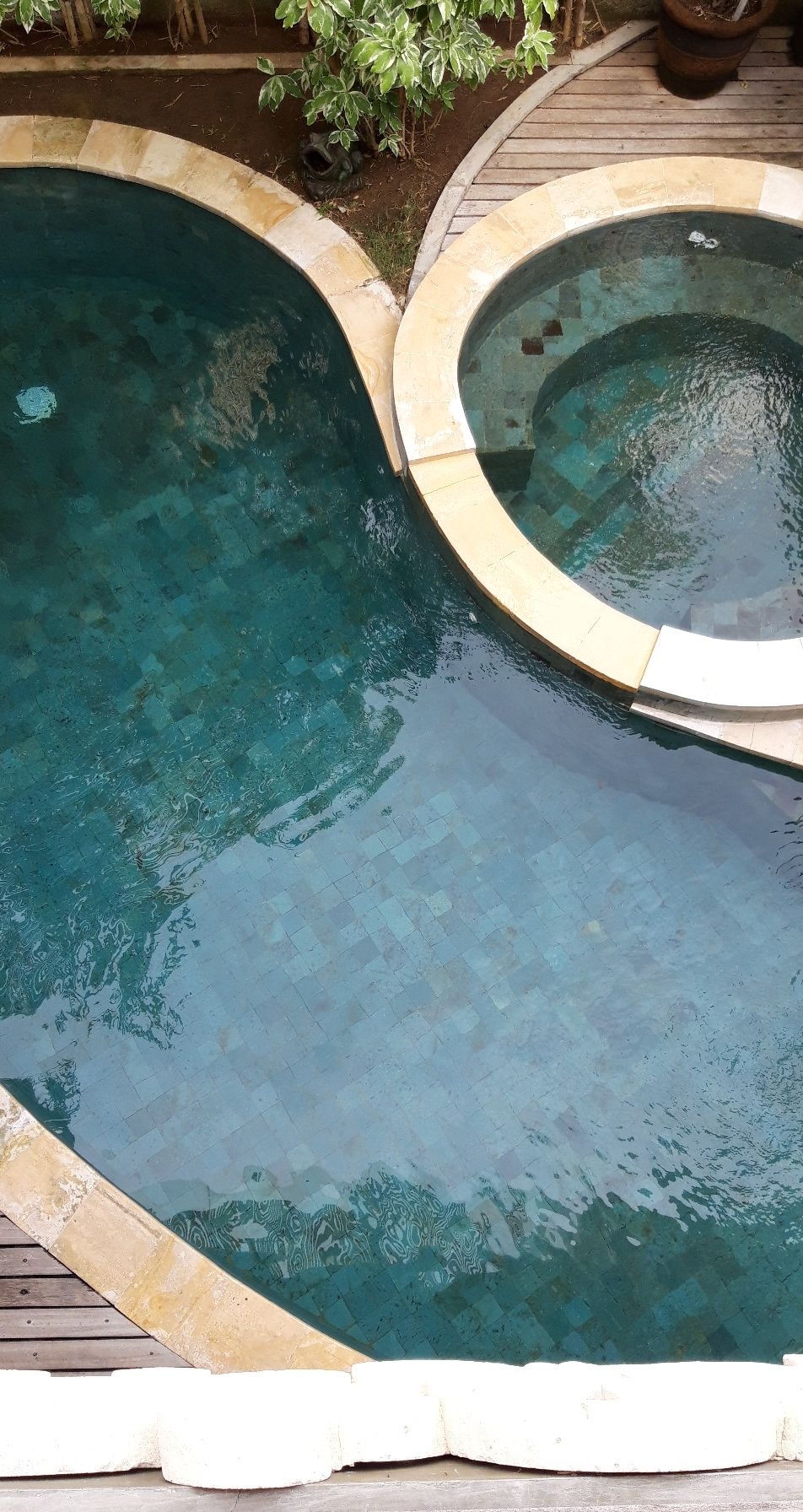 userImage-1