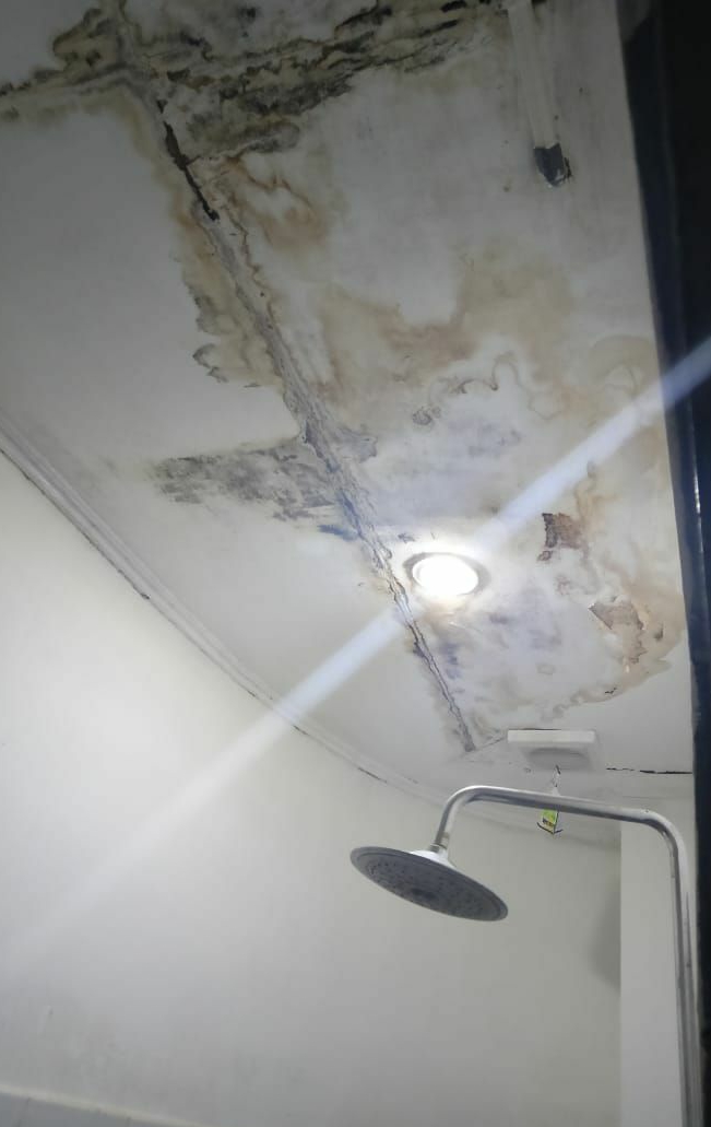 userImage-9
