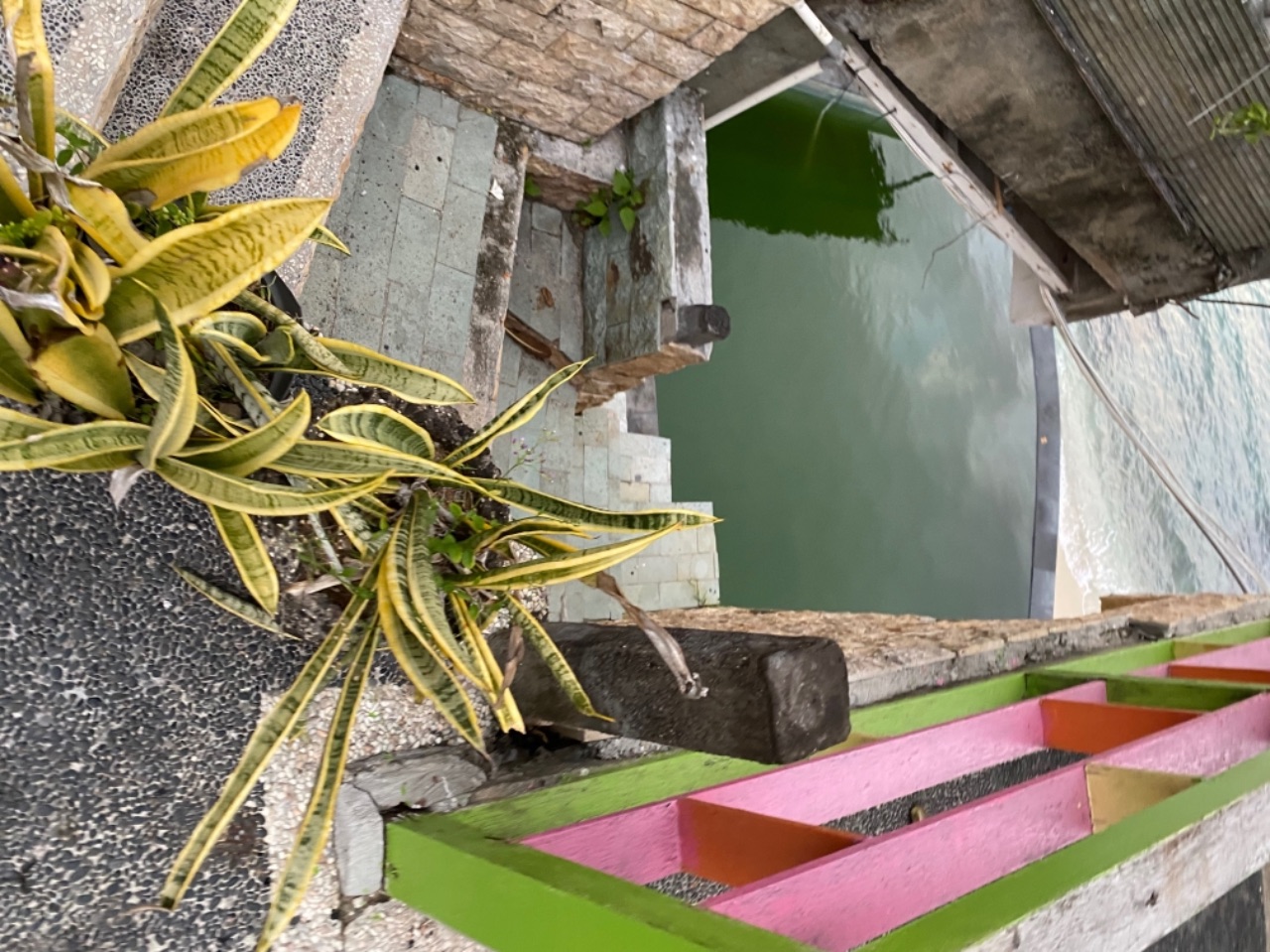 userImage-4