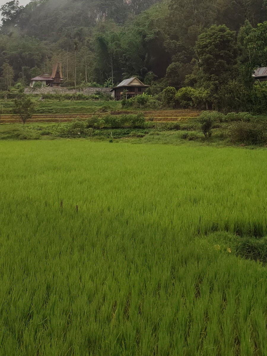 userImage-3