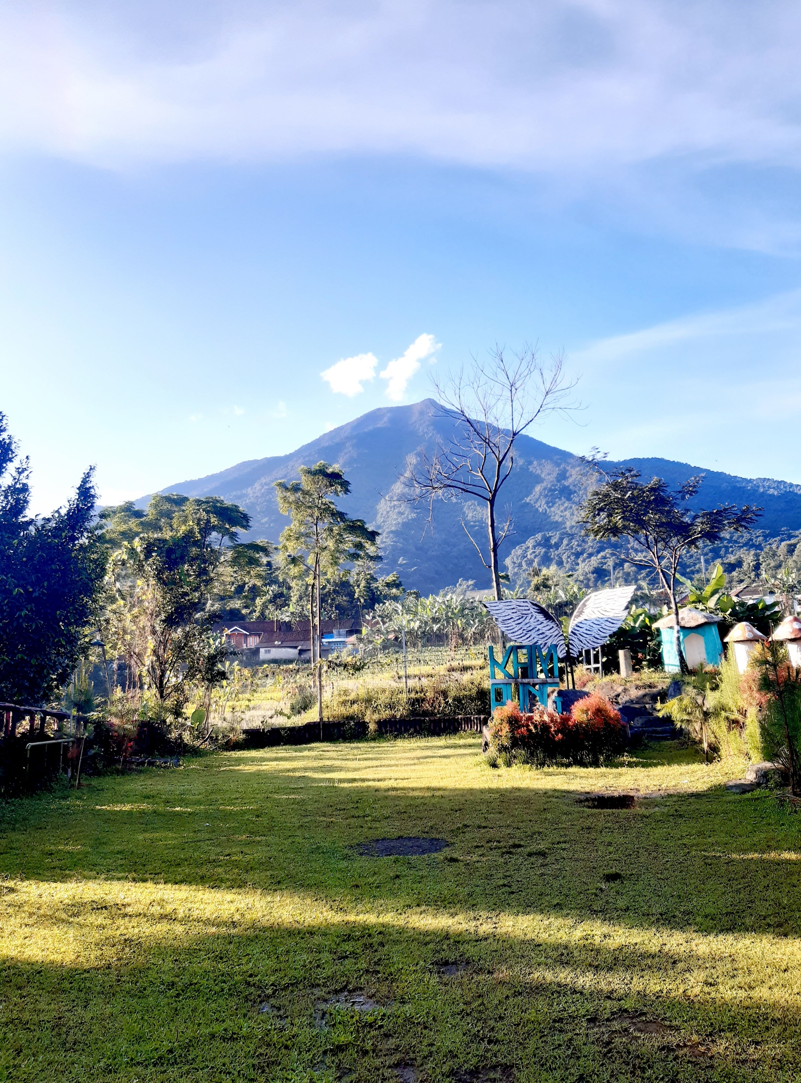 userImage-8