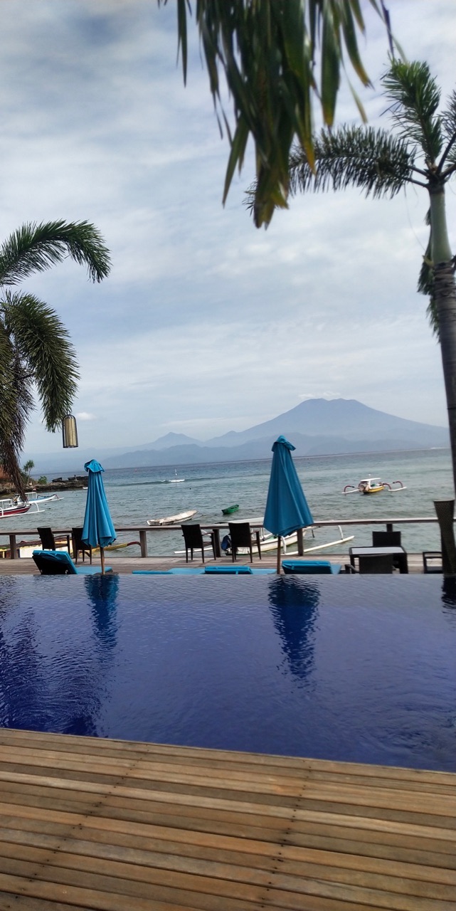 userImage-1