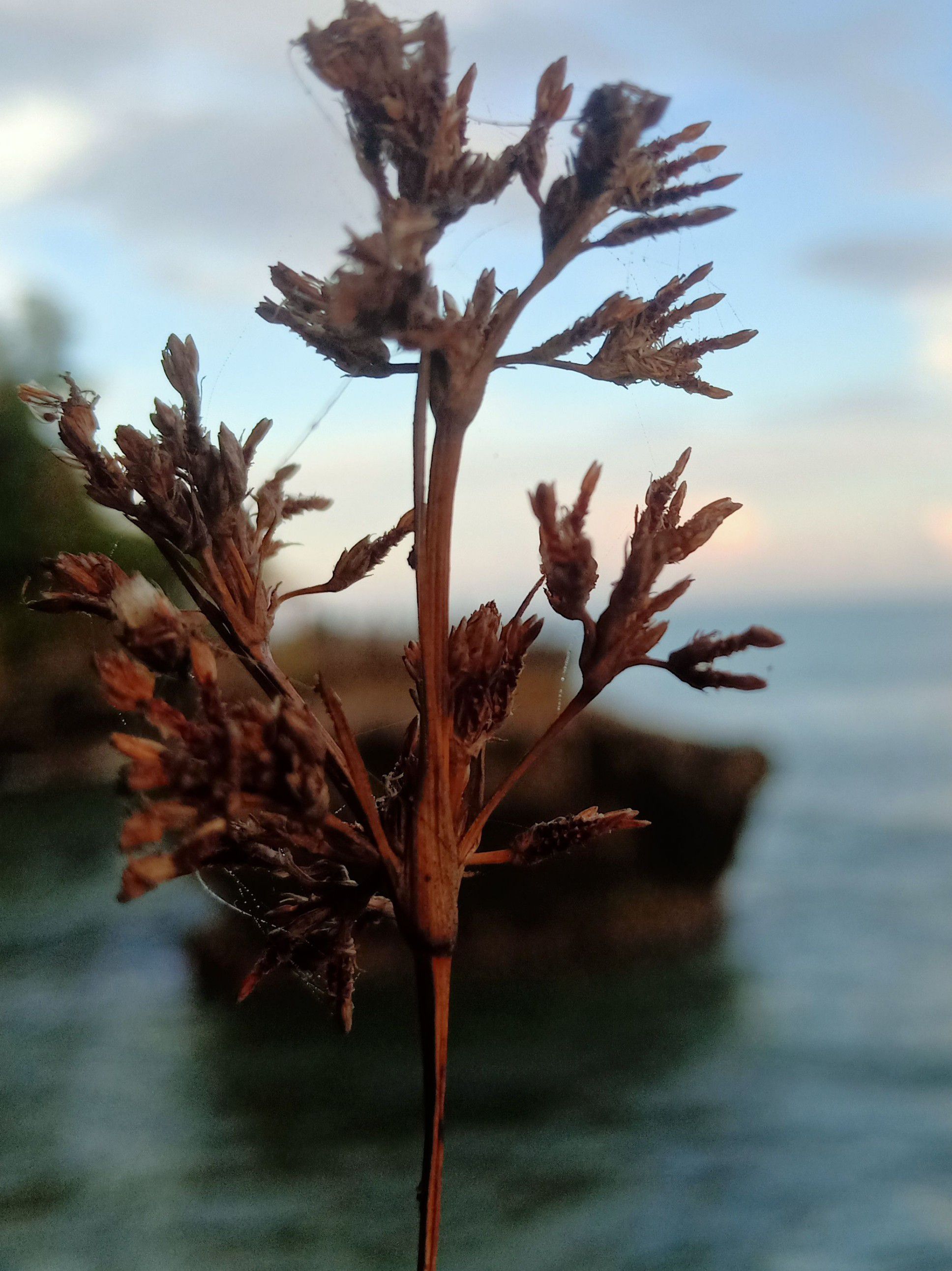userImage-11