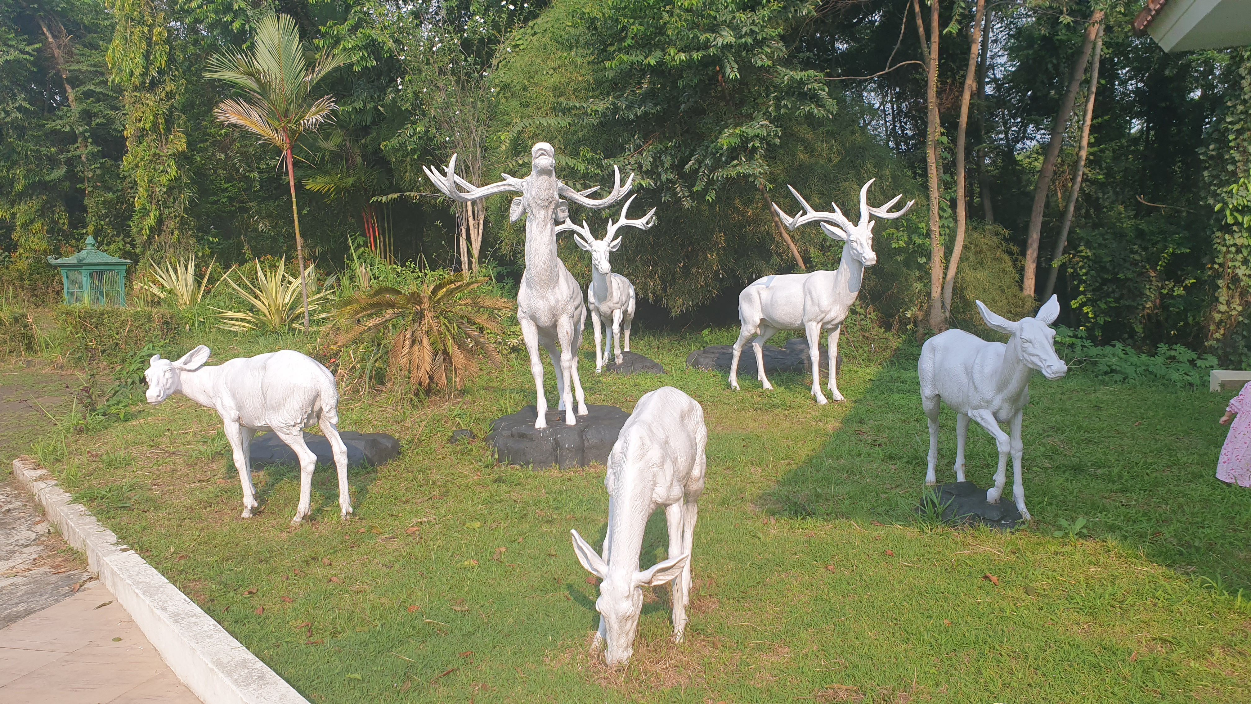userImage-15