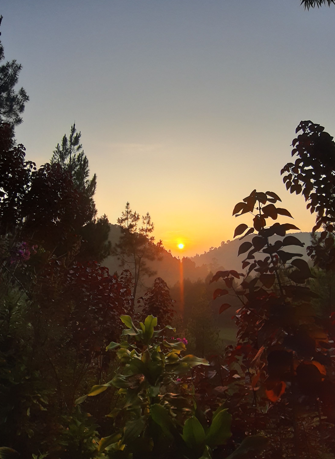 userImage-4