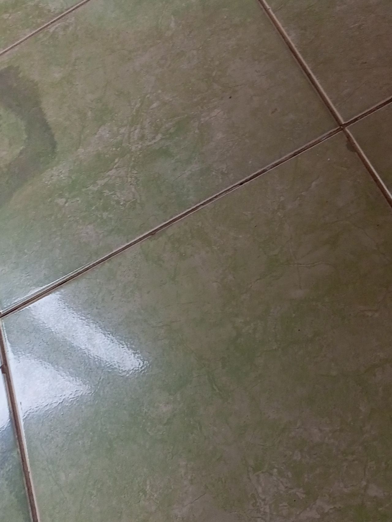 userImage-12