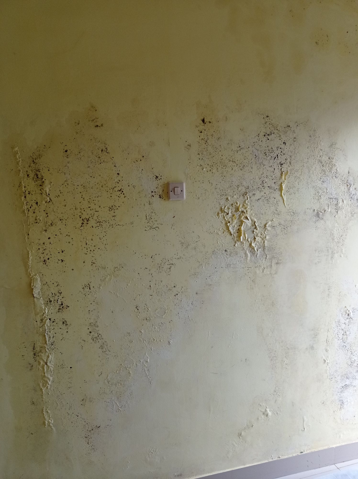 userImage-12
