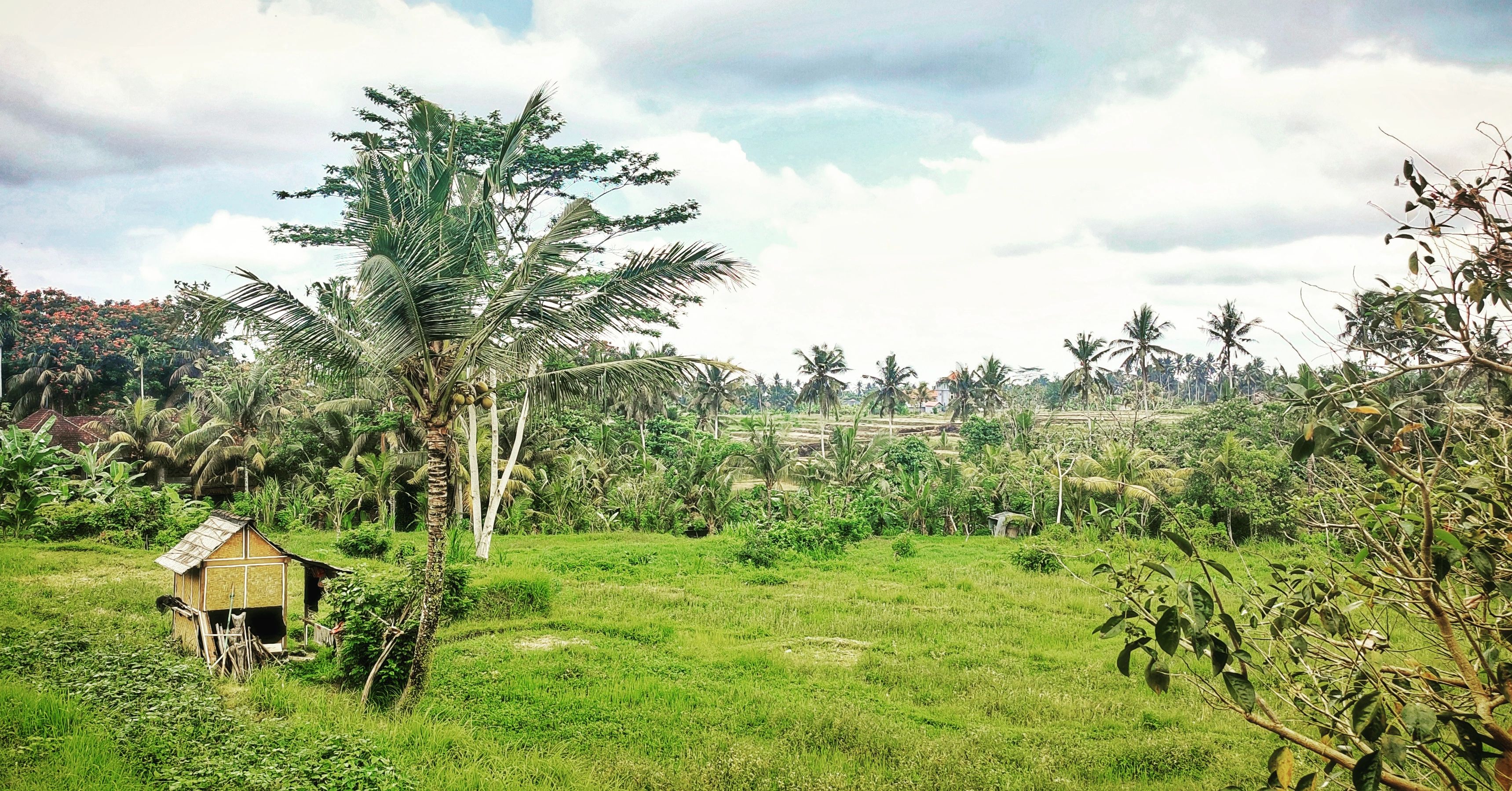 userImage-15