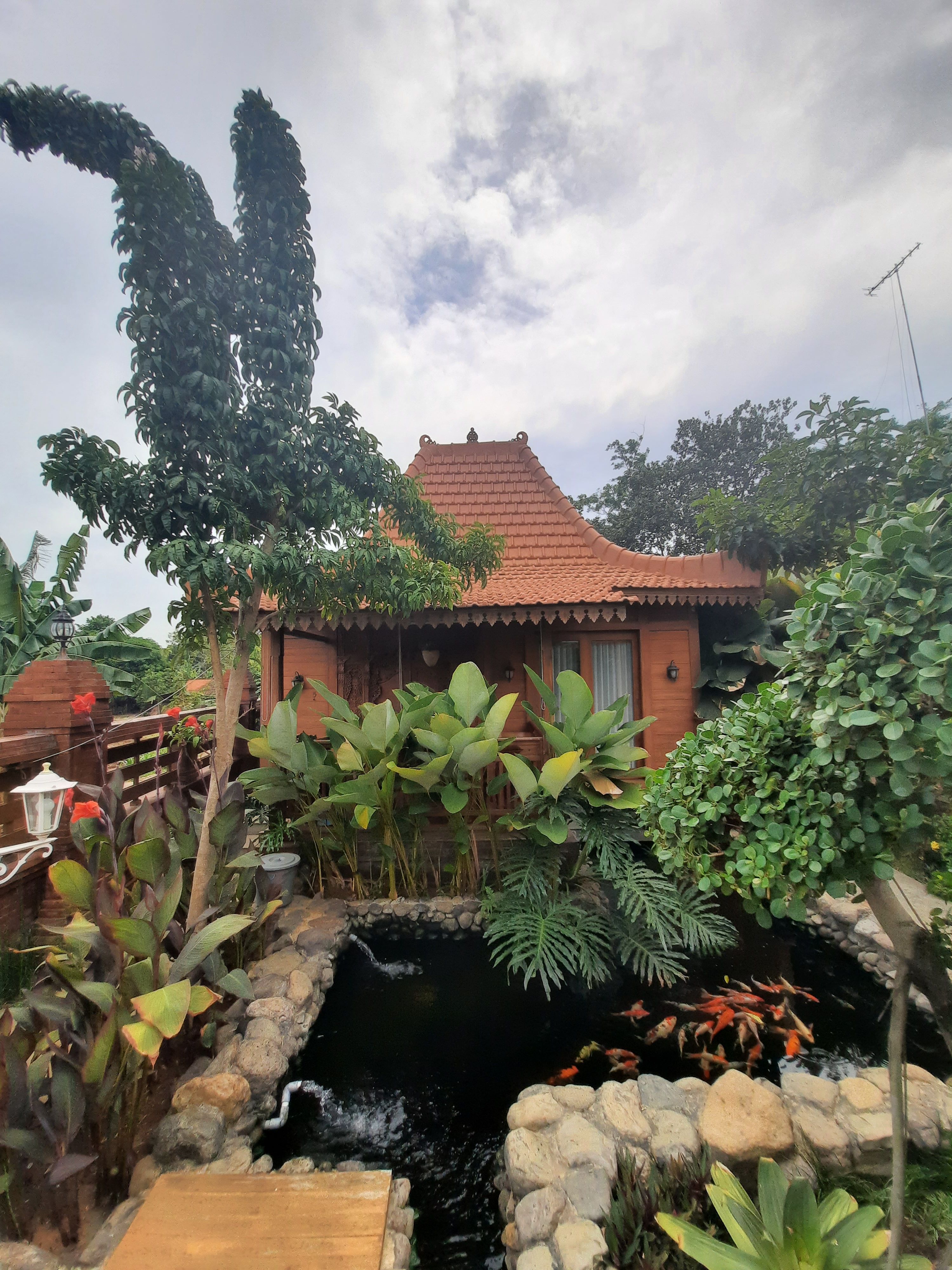 userImage-4