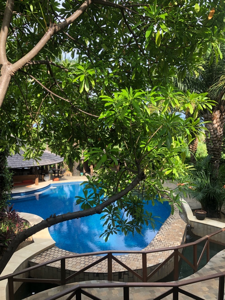 userImage-13