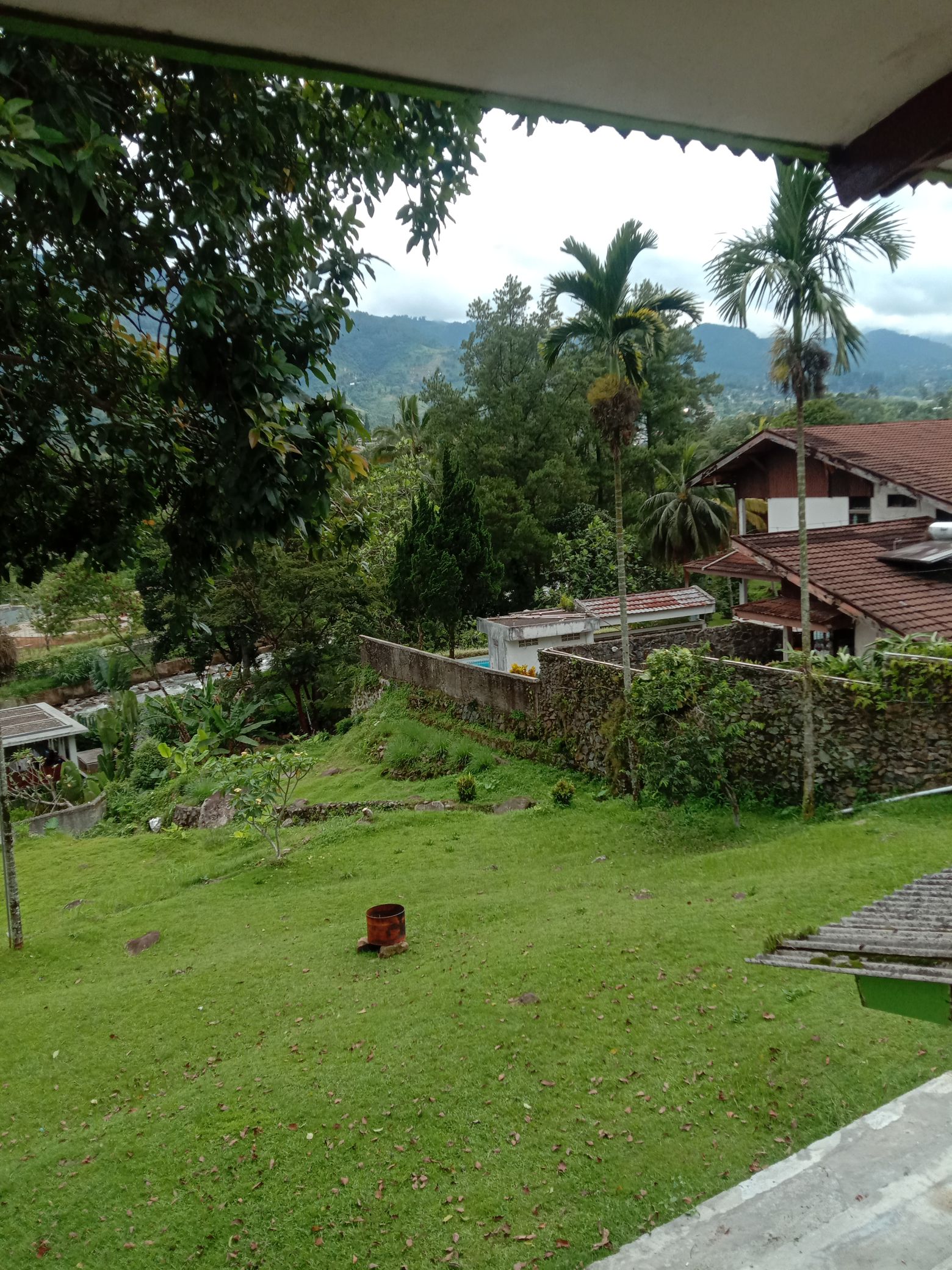 userImage-12