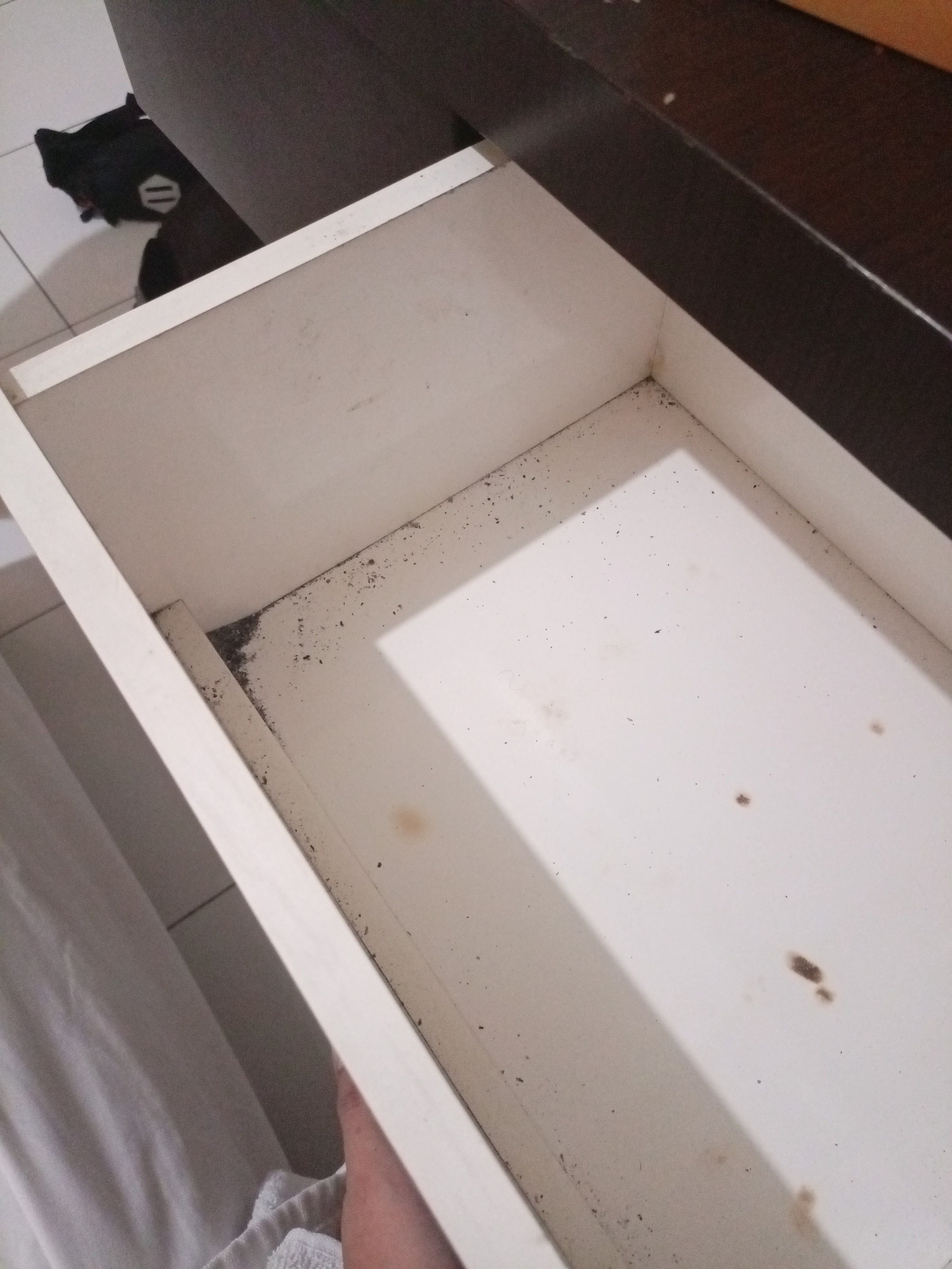 userImage-9