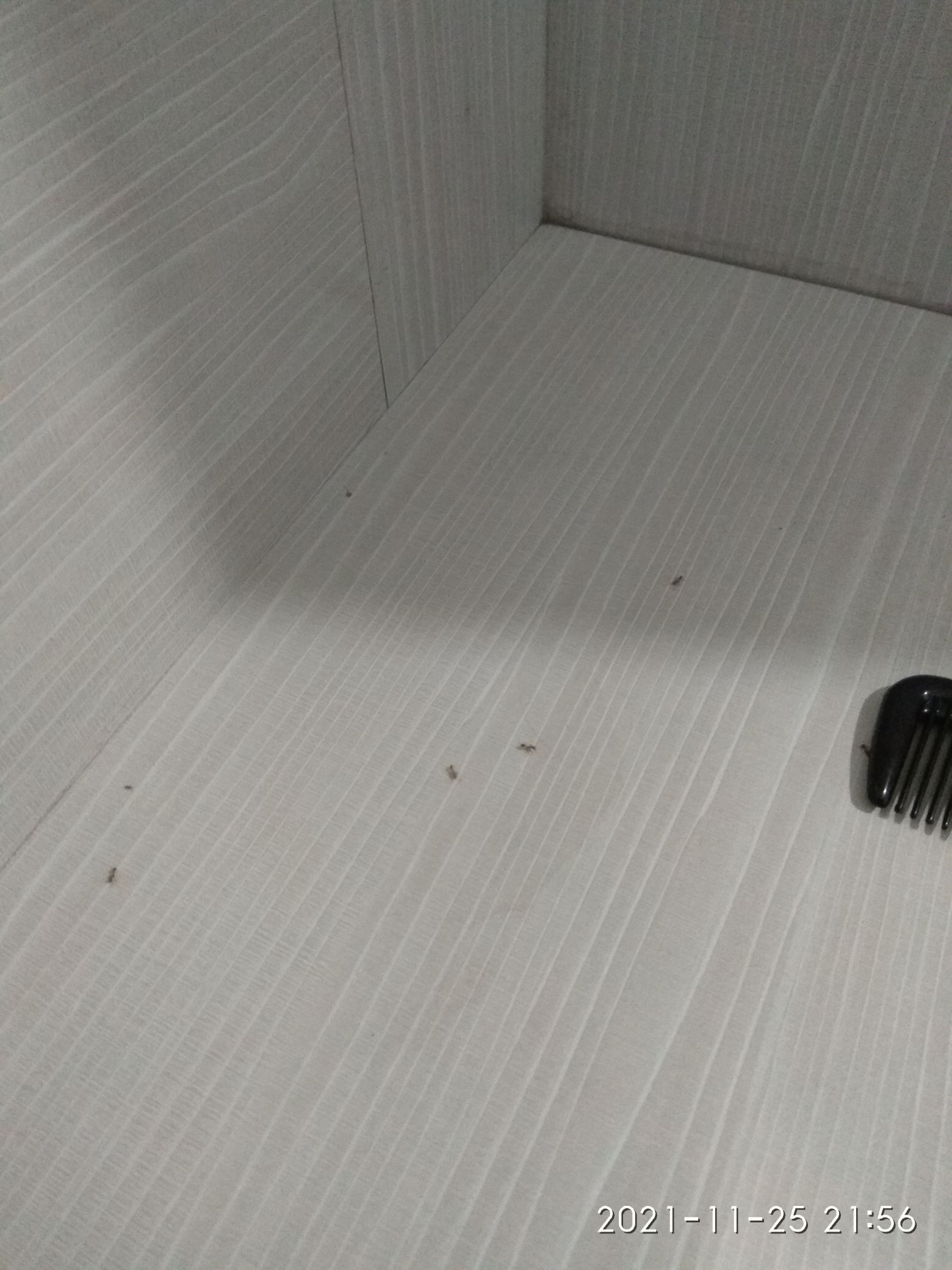 userImage-12