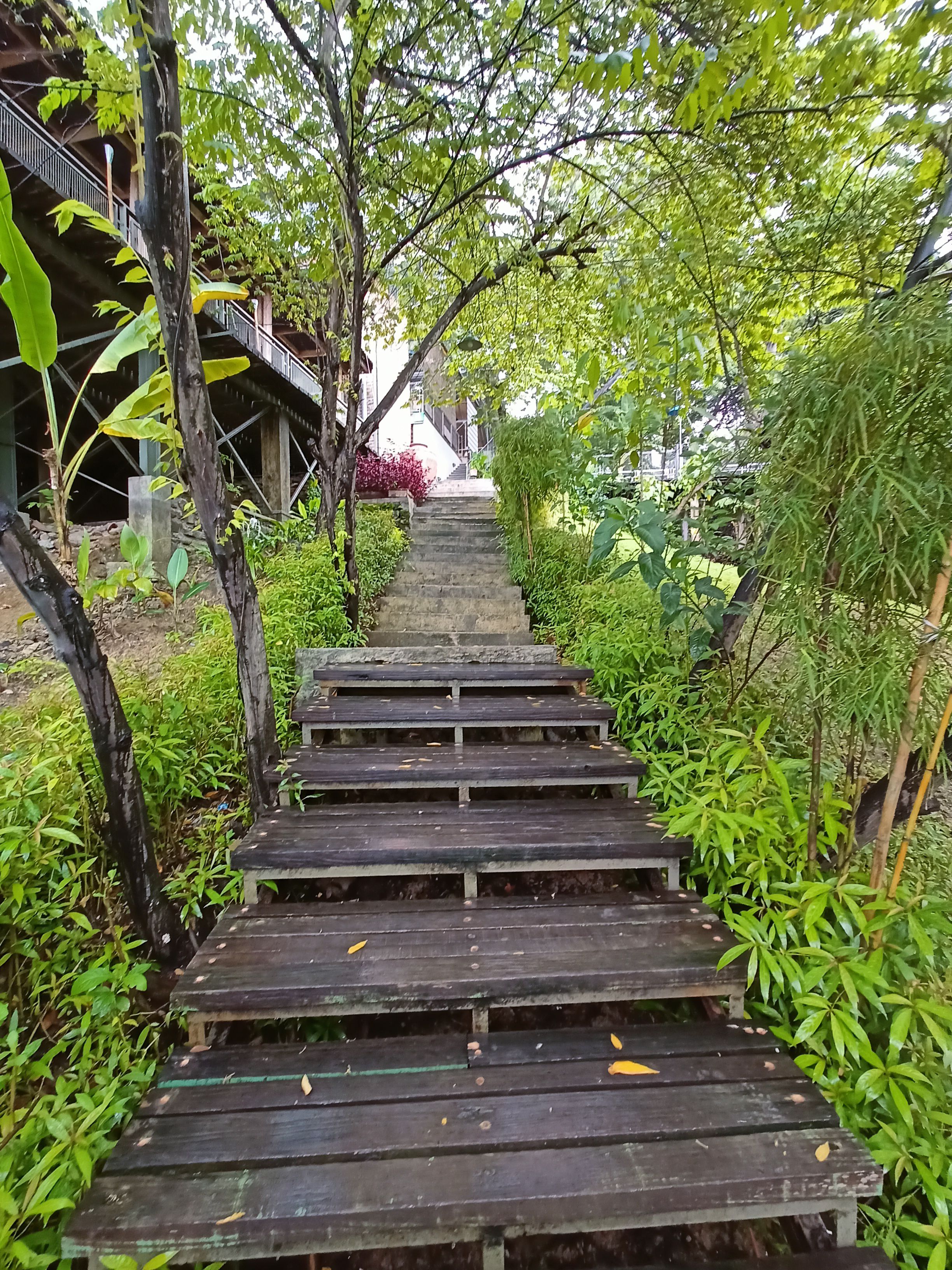 userImage-17
