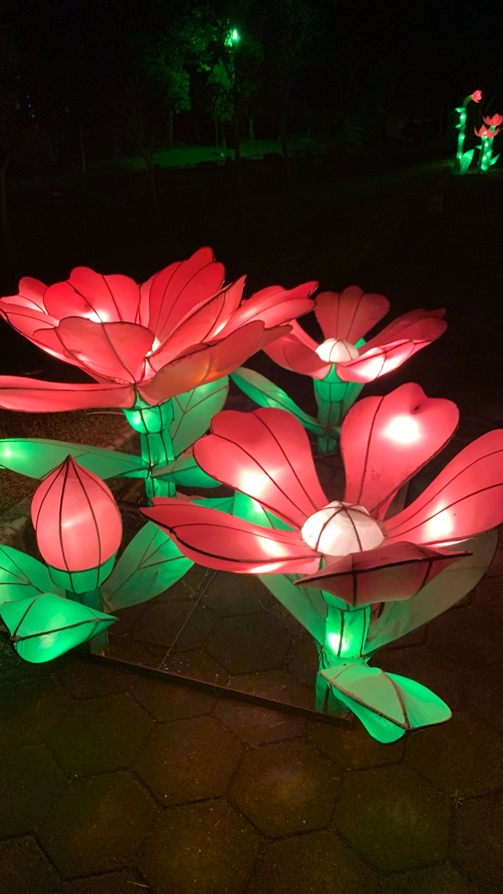 userImage-3