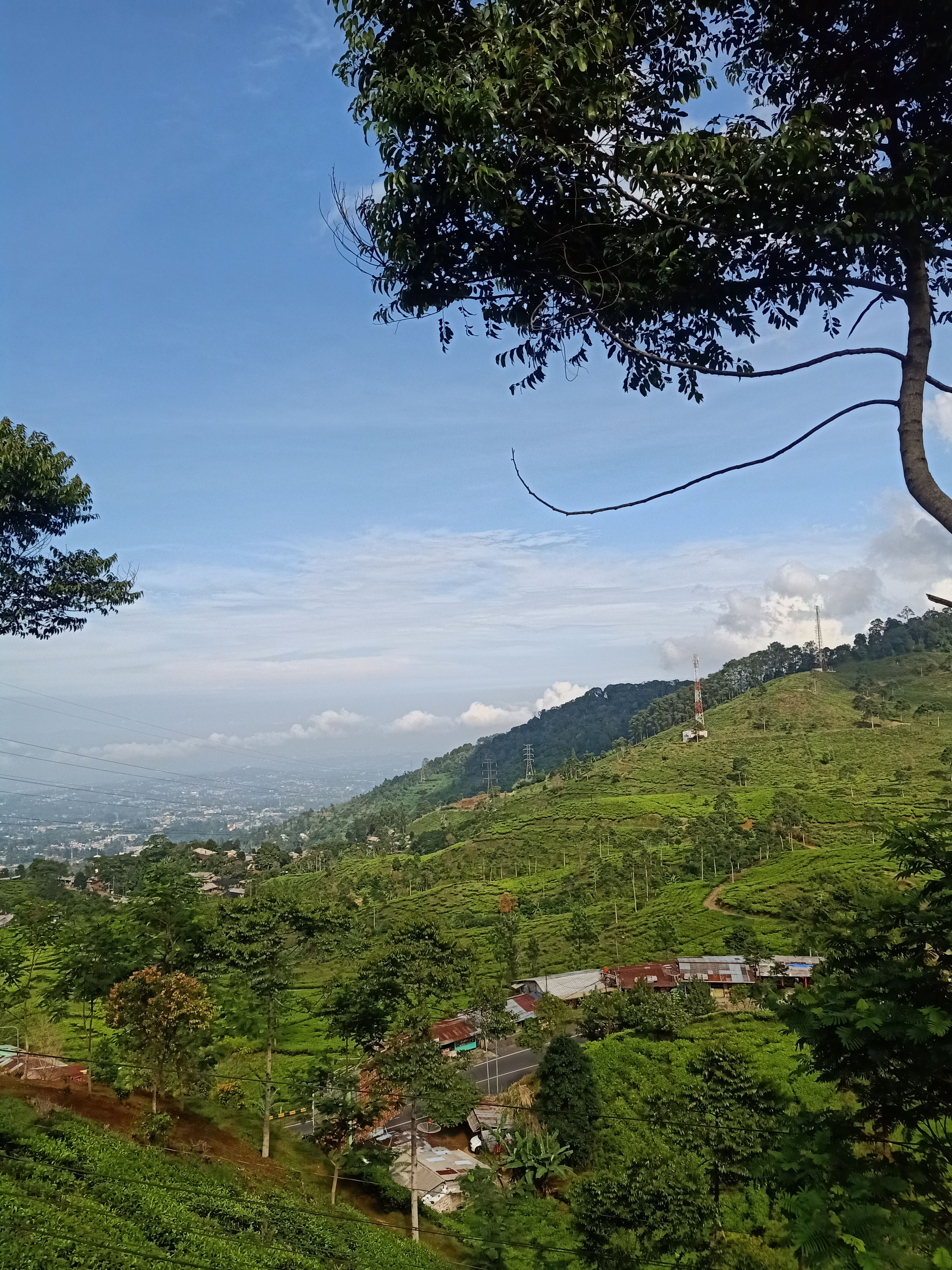 userImage-10
