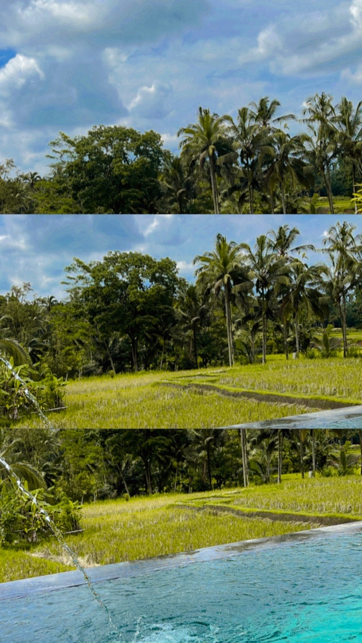 userImage-12