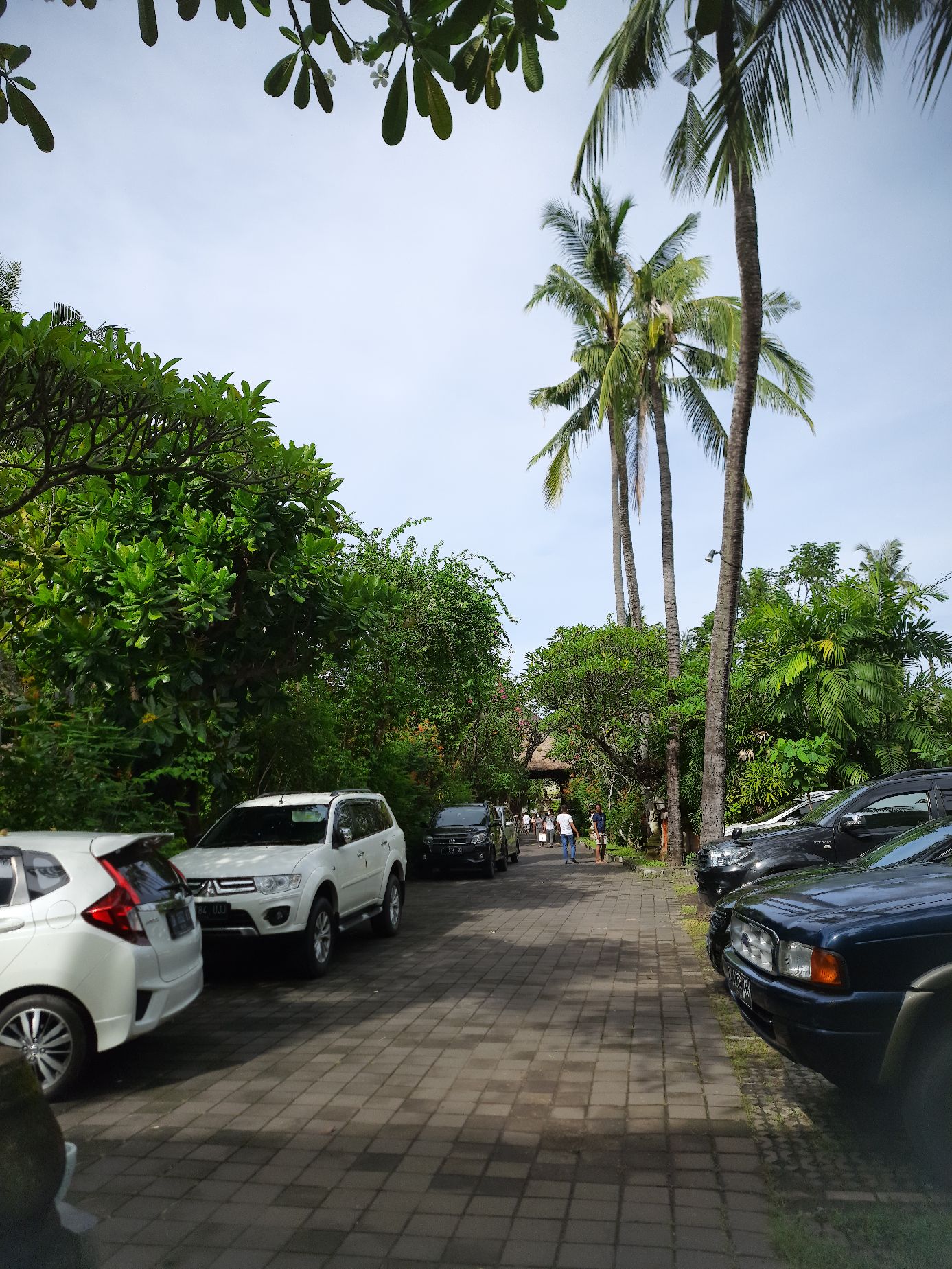 userImage-14
