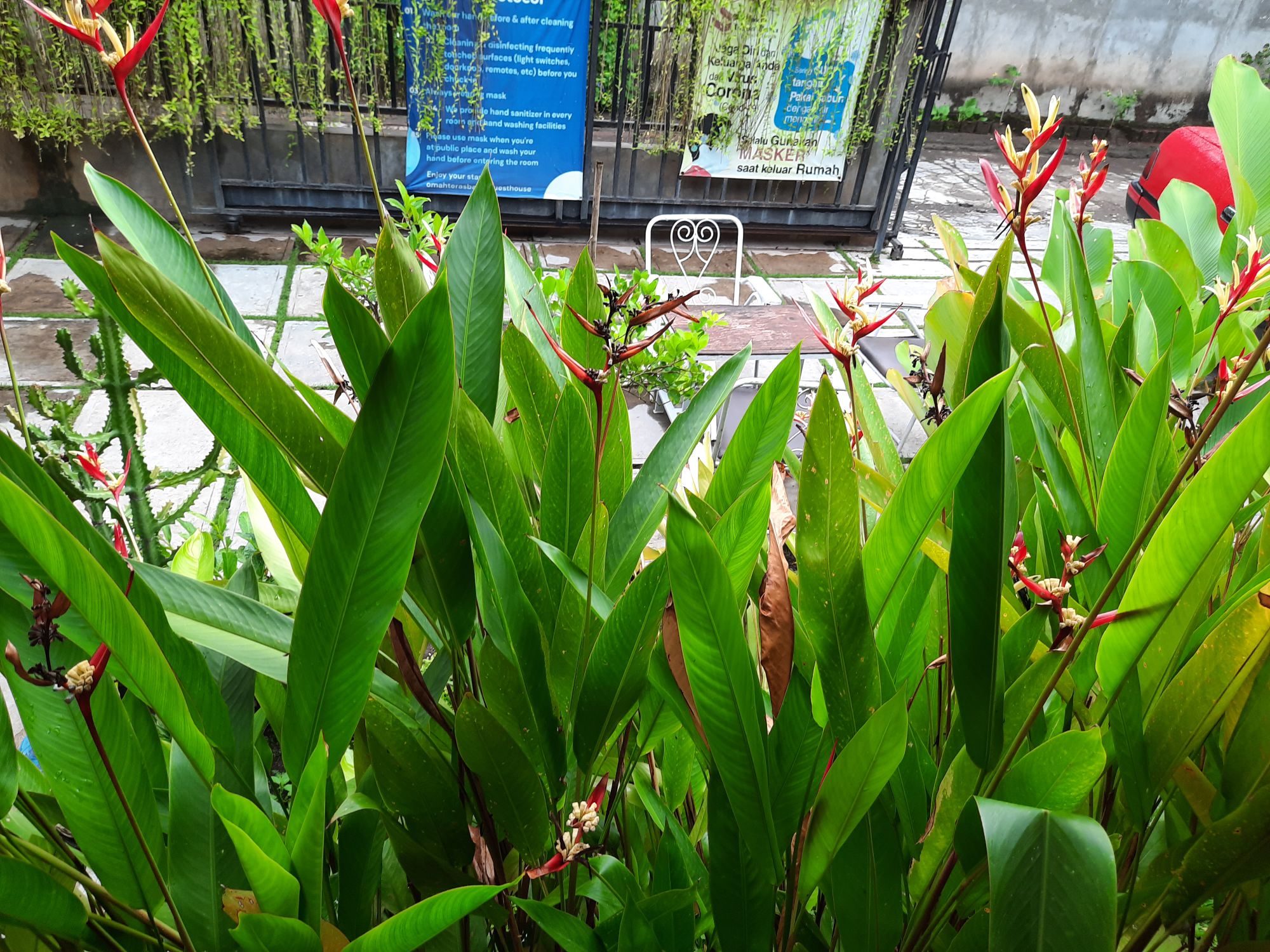 userImage-9