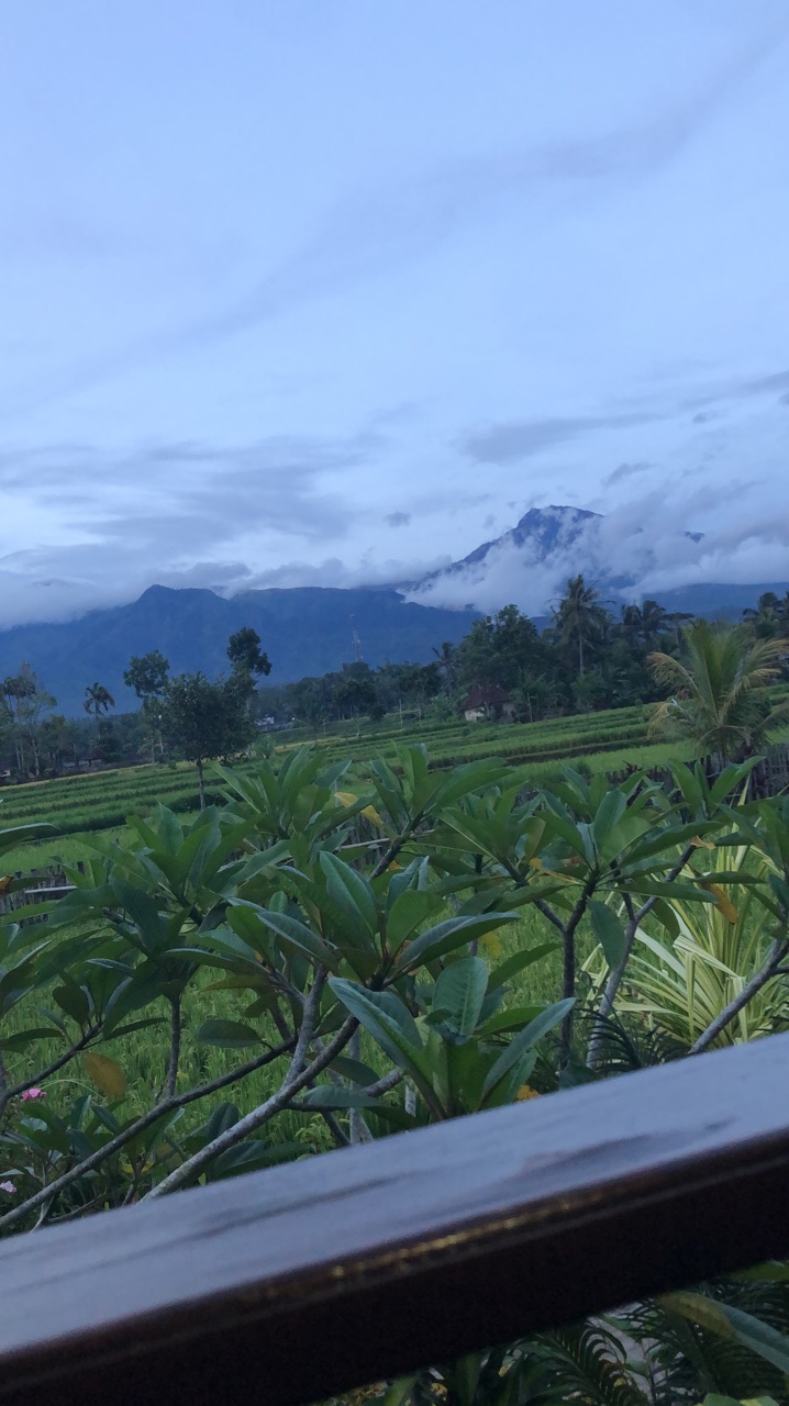 userImage-1